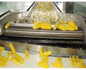 糯玉米、甜玉米加工生產(chǎn)流水線